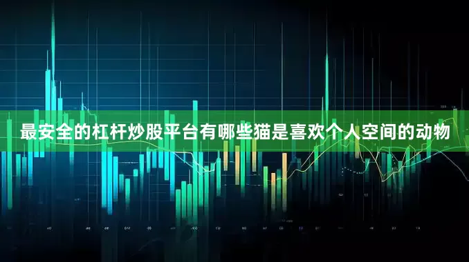 最安全的杠杆炒股平台有哪些猫是喜欢个人空间的动物