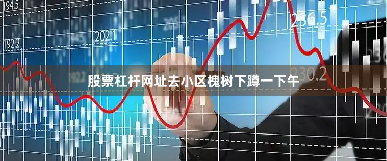 股票杠杆网址去小区槐树下蹲一下午
